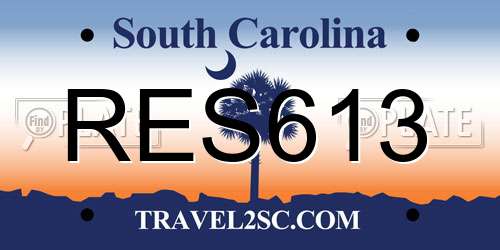 RES613 South Carolina License Plate