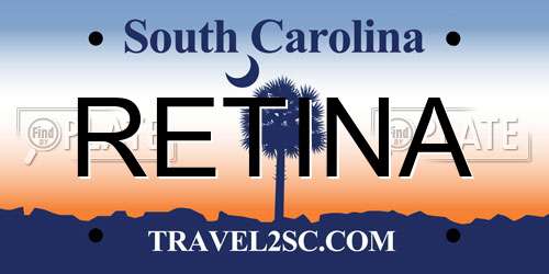 RETINA South Carolina License Plate