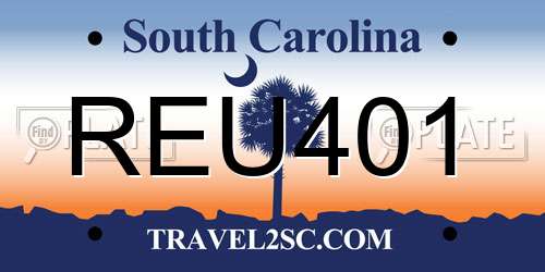 REU401 South Carolina License Plate
