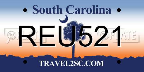 REU521 South Carolina License Plate