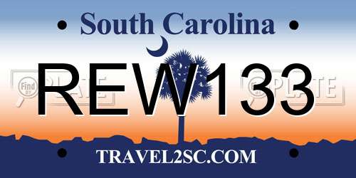 REW133 South Carolina License Plate