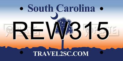 REW315 South Carolina License Plate