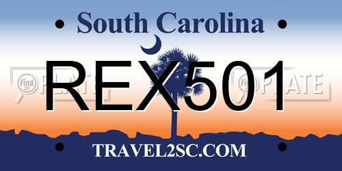 REX501 South Carolina License Plate