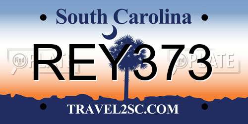 REY373 South Carolina License Plate