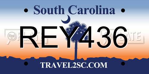REY436 South Carolina License Plate