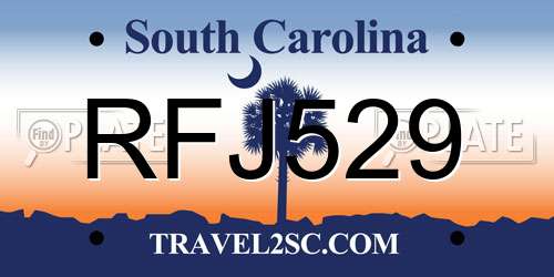 RFJ529 South Carolina License Plate