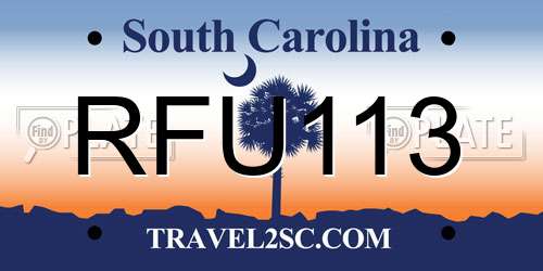 RFU113 South Carolina License Plate