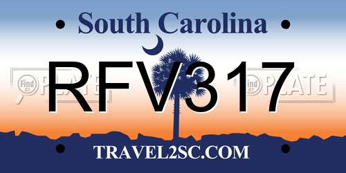 RFV317 South Carolina License Plate