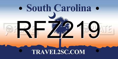 RFZ219 South Carolina License Plate