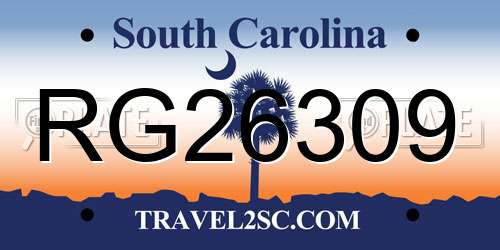 RG26309 South Carolina License Plate
