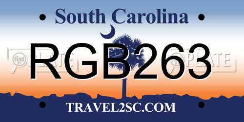 RGB263 South Carolina License Plate