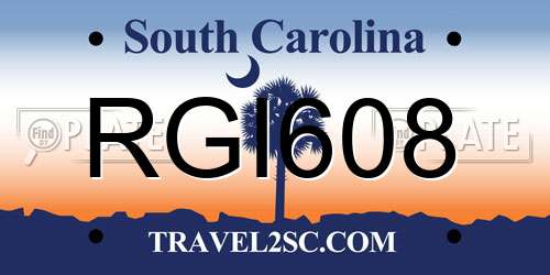 RGI608 South Carolina License Plate
