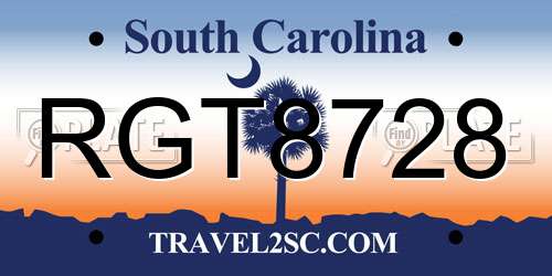 RGT8728 South Carolina License Plate