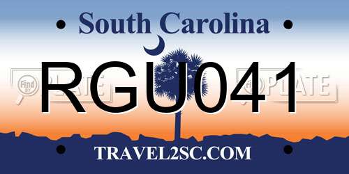 RGU041 South Carolina License Plate