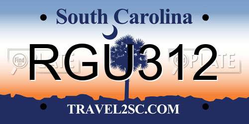 RGU312 South Carolina License Plate