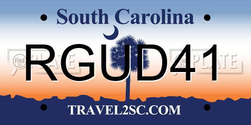 RGUD41 South Carolina License Plate