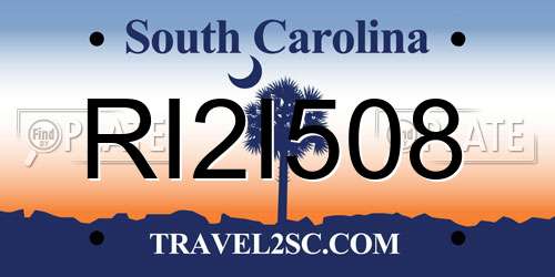 RI2I508 South Carolina License Plate