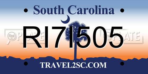 RI7I505 South Carolina License Plate