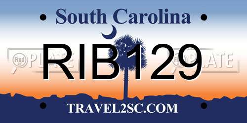 RIB129 South Carolina License Plate