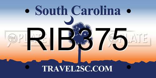 RIB375 South Carolina License Plate