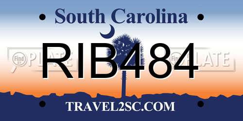 RIB484 South Carolina License Plate