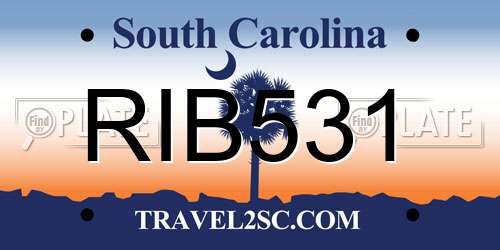 RIB531 South Carolina License Plate