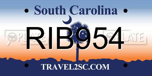 RIB954 South Carolina License Plate