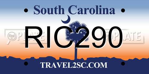 RIC290 South Carolina License Plate