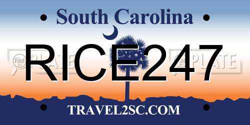 RICE247 South Carolina License Plate