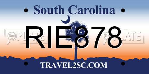 RIE878 South Carolina License Plate