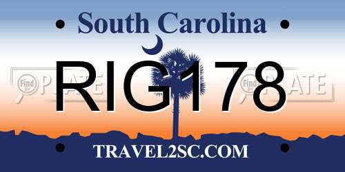 RIG178 South Carolina License Plate