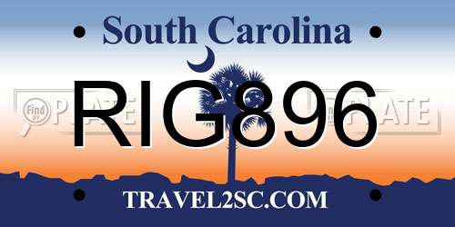 RIG896 South Carolina License Plate