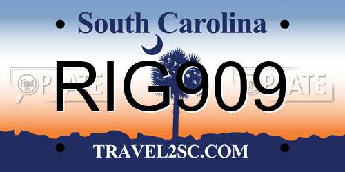 RIG909 South Carolina License Plate