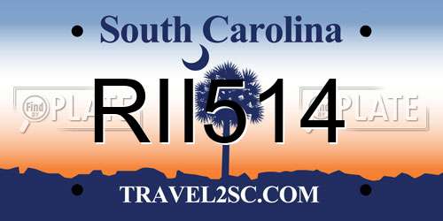 RII514 South Carolina License Plate