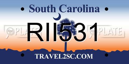 RII531 South Carolina License Plate