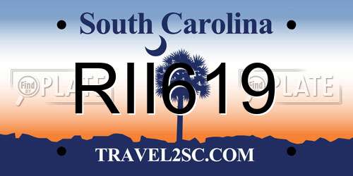 RII619 South Carolina License Plate
