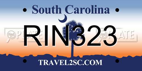 RIN323 South Carolina License Plate