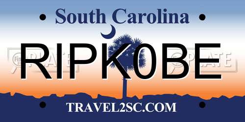 RIPK0BE South Carolina License Plate
