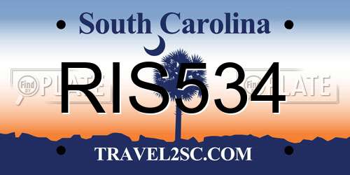 RIS534 South Carolina License Plate