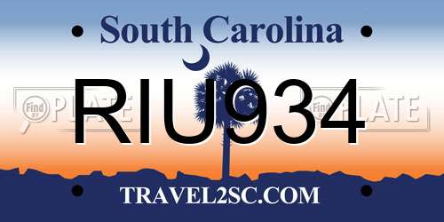 RIU934 South Carolina License Plate