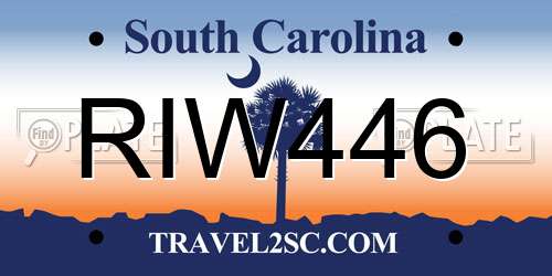 RIW446 South Carolina License Plate