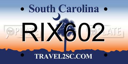 RIX602 South Carolina License Plate