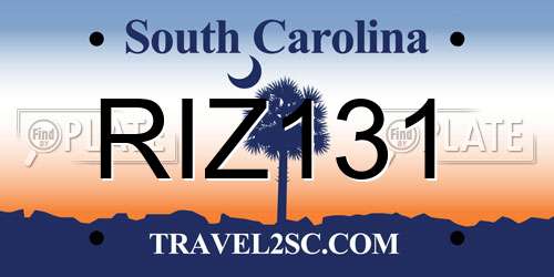 RIZ131 South Carolina License Plate