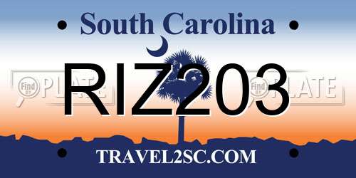 RIZ203 South Carolina License Plate