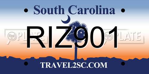 RIZ901 South Carolina License Plate