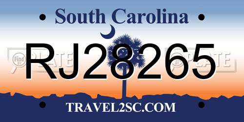 RJ28265 South Carolina License Plate