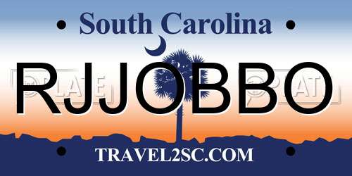 RJJOBBO South Carolina License Plate