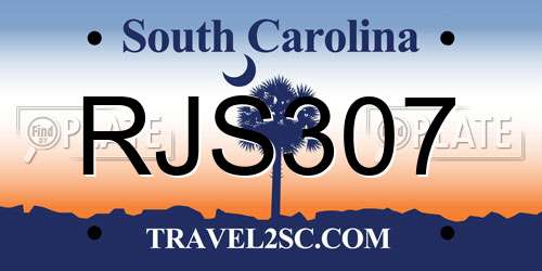 RJS307 South Carolina License Plate
