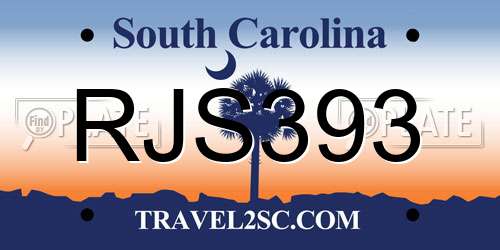 RJS393 South Carolina License Plate