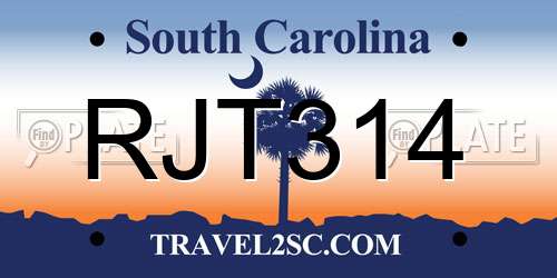 RJT314 South Carolina License Plate